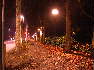 Ferrara, la città di notte - Quando il passaggio delle macchine illumina la strada...