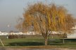 Aeroporto di Ferrara -  Guardando verso la testata est